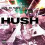 H.U.S.H (Explicit)