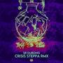 CRISIS STEPPA RMX