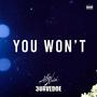 You Won't (feat. 3URVEDOE) [Explicit]