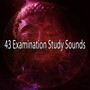 43 Examination Study Sounds