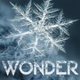 Wonder