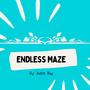 Endless Maze