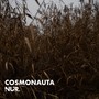 Cosmonauta