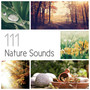 111 Nature Sounds: Over 6 Hours Relaxation Therapy Music for Sleep, Meditation, Massage and Study (Rain, Thundesrtorm, Ocean, Birds, Wind, Crickets & Bells)