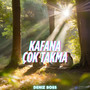 Kafana Çok Takma
