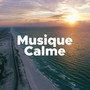 Musique Calme - Musique de Yoga, Meditation et Relaxation