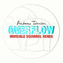 Overflow (feat. Invisible Squirrel) [Invisible Squirrel Remix]