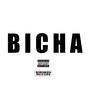 BICHA (Explicit)