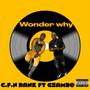 Wonder Why (Explicit)