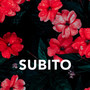 SUBITO