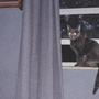 Jajanken (Explicit)