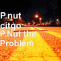 P.Nut the Problem (Explicit)