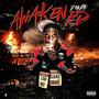 Awakened (Explicit)