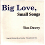 Big Love, Small Songs