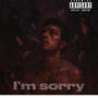 I'm Sorry (Explicit)