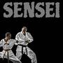 Sensei (feat. DIZZ1LE) [Explicit]