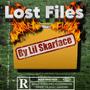 LOST FILES (Explicit)