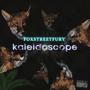 Kaleidoscope (Explicit)