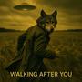 Walking After You