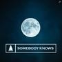 Somebody Knows (Explicit)