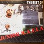 The Best of JUNIOR M.A.F.I.A.