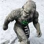 Yeti