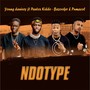 Ndotype (Explicit)