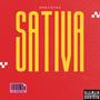 Sativa (Explicit)