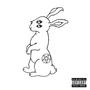 Follow The White Rabbit (Explicit)