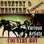 Country & Western Evergreens, Vol.16