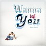 Wanna Love You