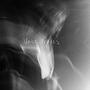 Voice Notes (Explicit)