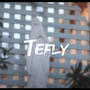 Tefly