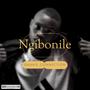 Ngibonile