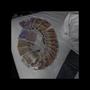 moneyspread (Explicit)