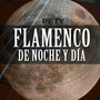 Flamenco de Noche y de Dia