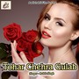 Tohar Chehra Gulab