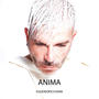 ANIMA (Explicit)