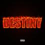 Destiny (feat. Golden Flex) [Explicit]