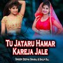 Tu Jataru Hamar Kareja Jale