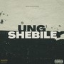 Ung' Shebile