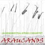 Araucanos