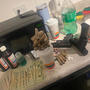 Baby shake dat shii
