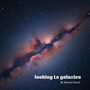 Looking to Galaxies