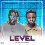 Level (feat. Young Duu)