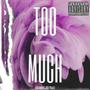 TOO MUCH (Explicit)