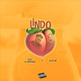 LINDO (Explicit)