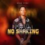 No Shaking