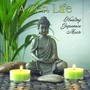 A Zen Life - Healing Japanese Music