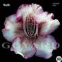 goyard duffle (feat. vampahh) [Explicit]